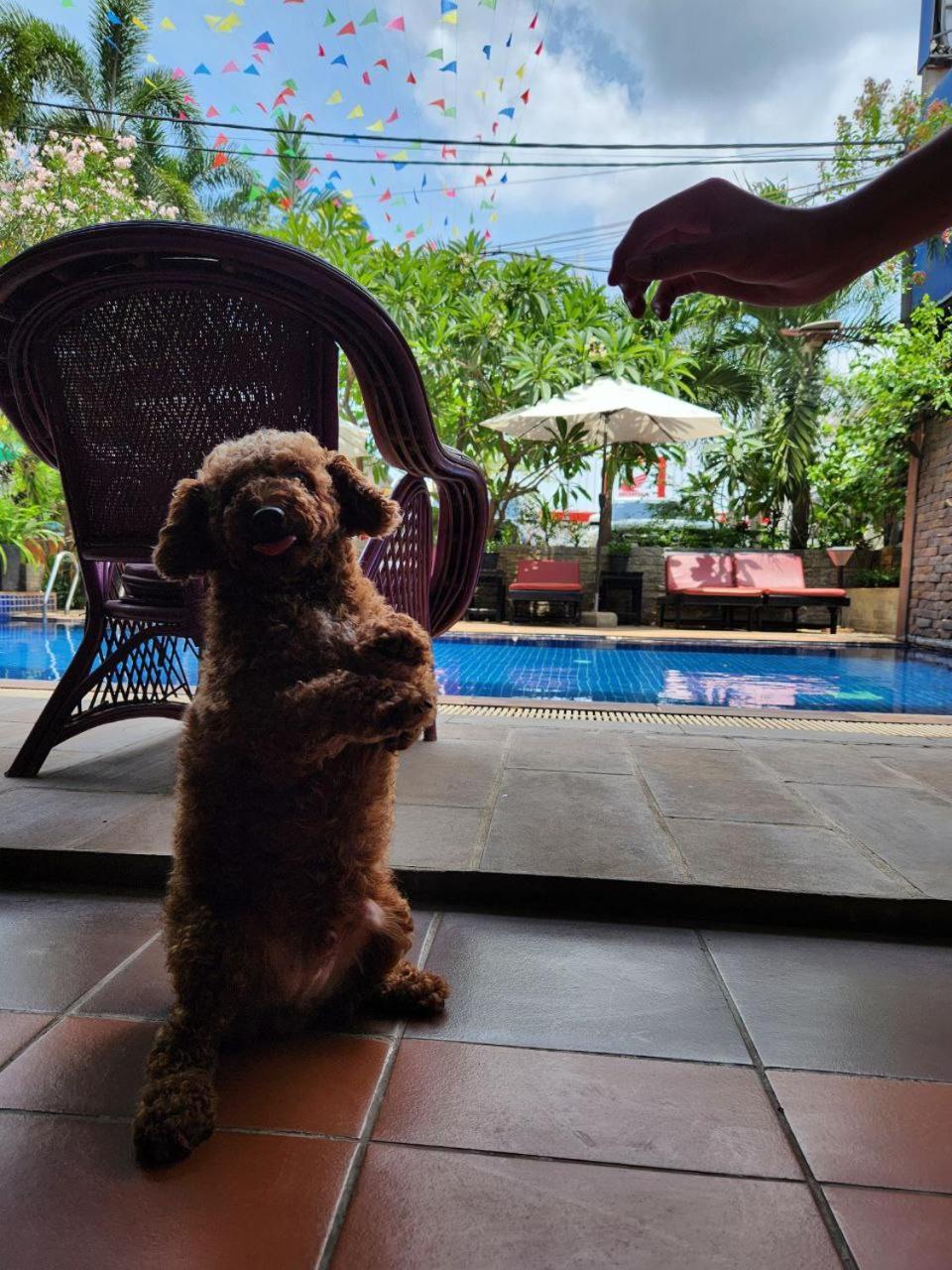 Jasmine Lodge Siem Reap Exterior foto