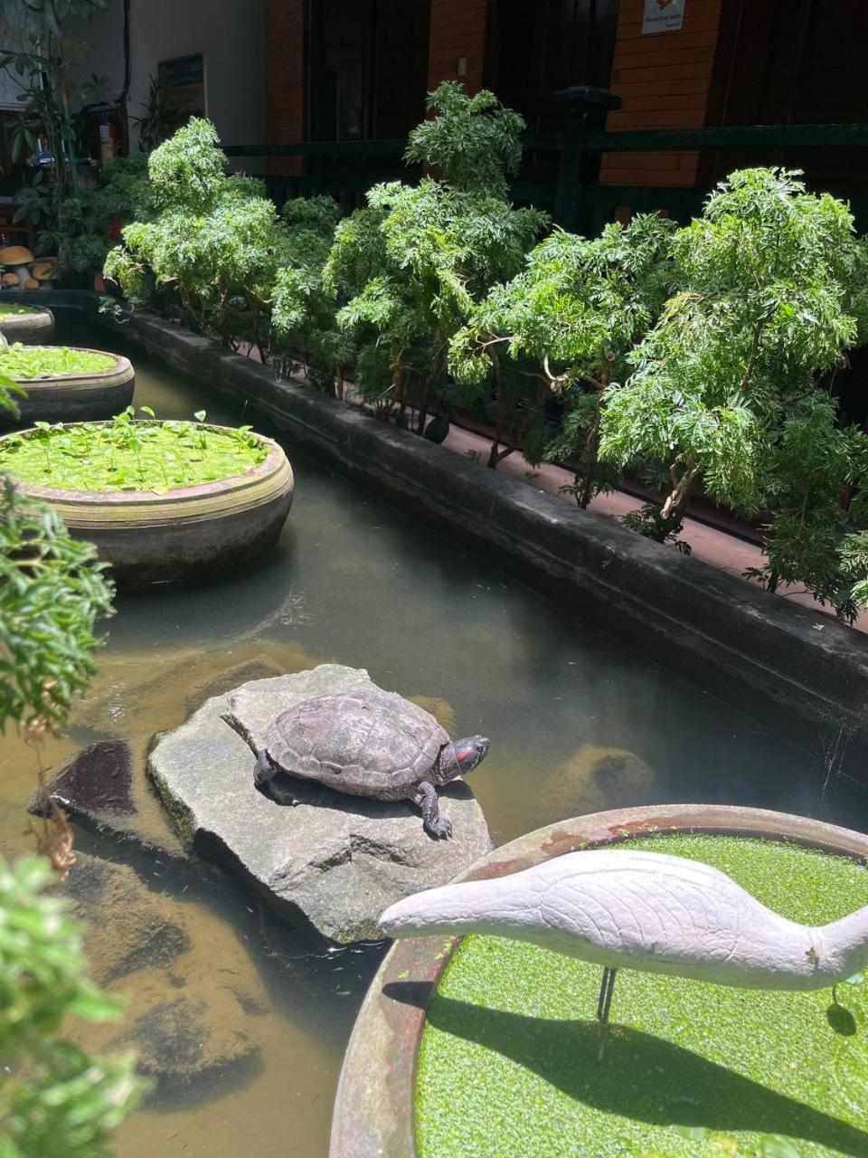 Jasmine Lodge Siem Reap Exterior foto